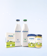 Dairy